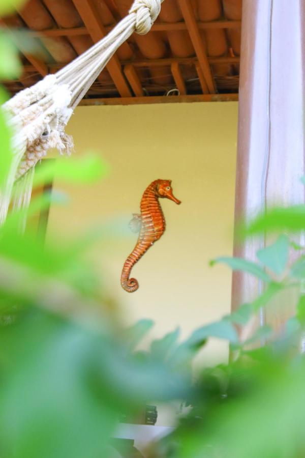 Casa Da Tete Apartment เฟอร์นันโด เด โนรอนญา ภายนอก รูปภาพ